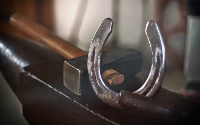 horseshoe beslaan paard